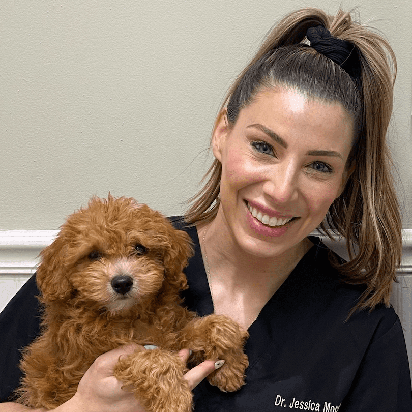 Dr. Jessica Moreira